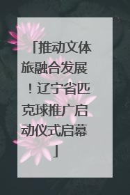 推动文体旅融合发展！辽宁省匹克球推广启动仪式启幕
