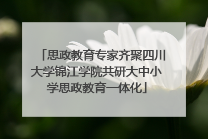 思政教育专家齐聚四川大学锦江学院共研大中小学思政教育一体化