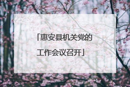 惠安县机关党的工作会议召开
