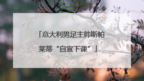 意大利男足主帅斯帕莱蒂“自宣下课”