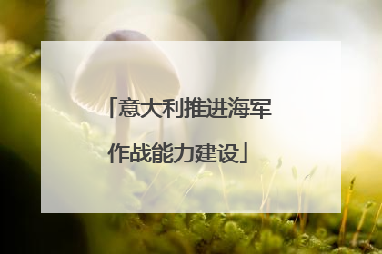 意大利推进海军作战能力建设