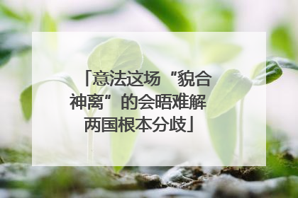 意法这场“貌合神离”的会晤难解两国根本分歧