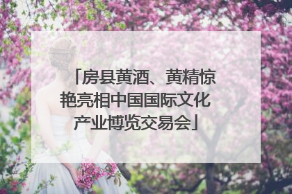 房县黄酒、黄精惊艳亮相中国国际文化产业博览交易会