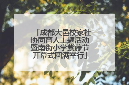 成都大邑校家社协同育人主题活动暨南街小学紫藤节开幕式圆满举行
