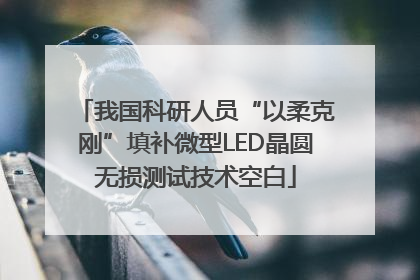 我国科研人员“以柔克刚”填补微型LED晶圆无损测试技术空白