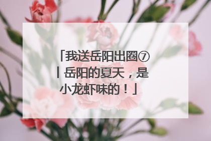 我送岳阳出圈⑦丨岳阳的夏天，是小龙虾味的！