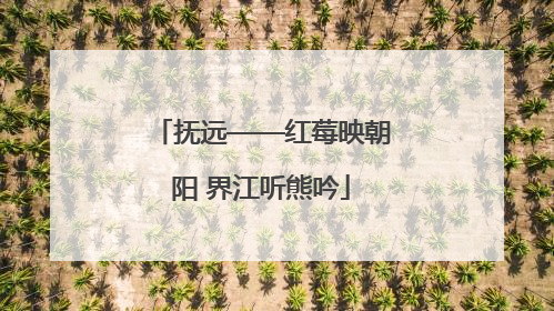 抚远——红莓映朝阳 界江听熊吟