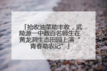 抢收油菜助丰收，武陵源一中数百名师生在黄龙洞生态田园上演“青春助农记”