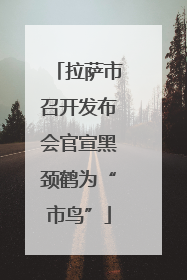 拉萨市召开发布会官宣黑颈鹤为“市鸟”