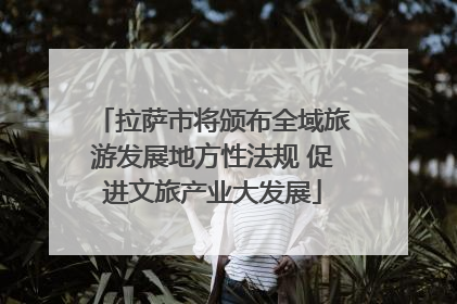 拉萨市将颁布全域旅游发展地方性法规 促进文旅产业大发展