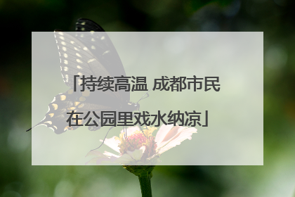 持续高温 成都市民在公园里戏水纳凉