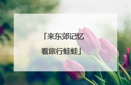 来东郊记忆 看旅行蛙蛙