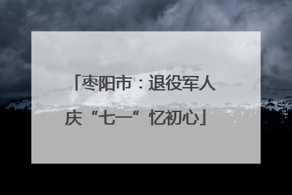 枣阳市：退役军人庆“七一”忆初心