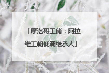 摩洛哥王储：阿拉维王朝低调继承人