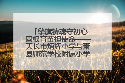 擎旗铸魂守初心 固根育苗担使命——天长市炳辉小学与萧县师范学校附属小学结对共建活动纪实