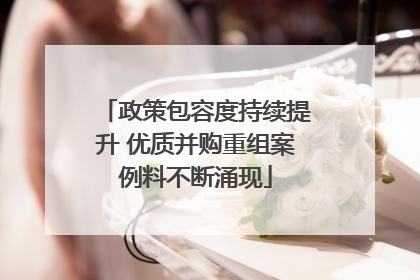 政策包容度持续提升 优质并购重组案例料不断涌现