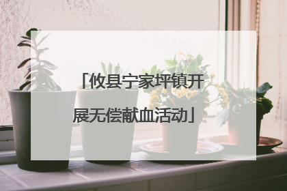 攸县宁家坪镇开展无偿献血活动