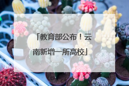 教育部公布！云南新增一所高校