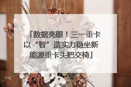 数据亮眼！三一重卡以“智”造实力稳坐新能源重卡头把交椅
