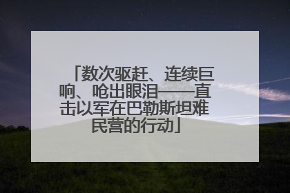 数次驱赶、连续巨响、呛出眼泪——直击以军在巴勒斯坦难民营的行动