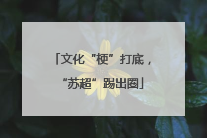 文化“梗”打底，“苏超”踢出圈