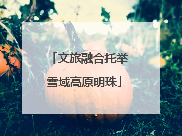 文旅融合托举雪域高原明珠