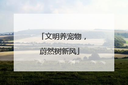 文明养宠物,蔚然树新风