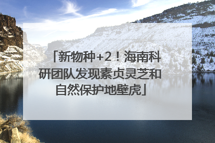 新物种+2！海南科研团队发现素贞灵芝和自然保护地壁虎