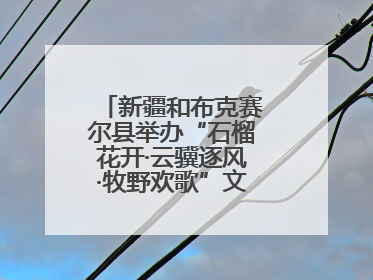 新疆和布克赛尔县举办“石榴花开·云骥逐风·牧野欢歌”文化演出季活动