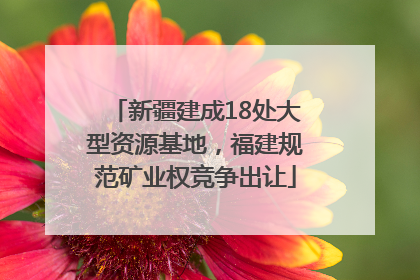 新疆建成18处大型资源基地，福建规范矿业权竞争出让
