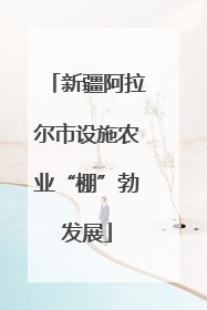 新疆阿拉尔市设施农业“棚”勃发展