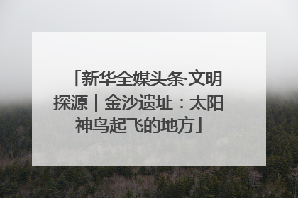 新华全媒头条·文明探源｜金沙遗址：太阳神鸟起飞的地方