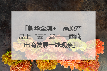 新华全媒+｜高原产品上“云”端——西藏电商发展一线观察