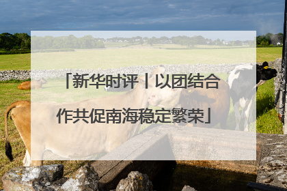 新华时评丨以团结合作共促南海稳定繁荣