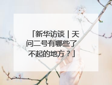 新华访谈｜天问二号有哪些了不起的地方？