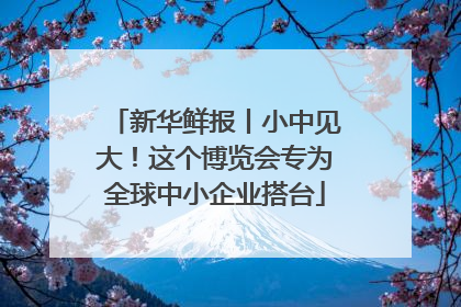 新华鲜报丨小中见大！这个博览会专为全球中小企业搭台
