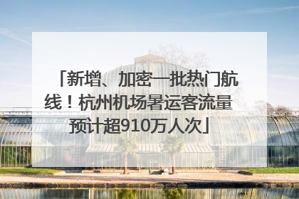 新增、加密一批热门航线！杭州机场暑运客流量预计超910万人次