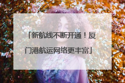 新航线不断开通！厦门港航运网络更丰富