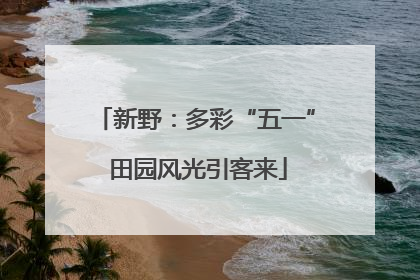 新野：多彩“五一” 田园风光引客来