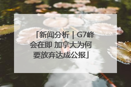 新闻分析｜G7峰会在即 加拿大为何要放弃达成公报