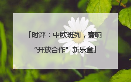 时评：中欧班列，奏响“开放合作”新乐章