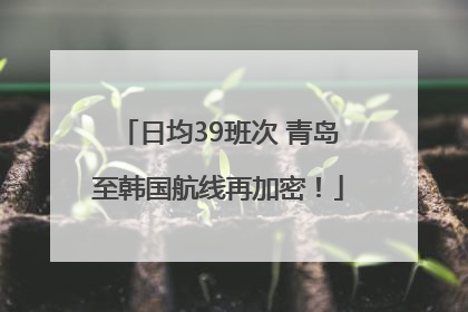 日均39班次 青岛至韩国航线再加密！