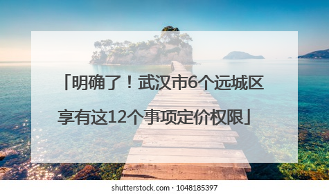明确了！武汉市6个远城区享有这12个事项定价权限