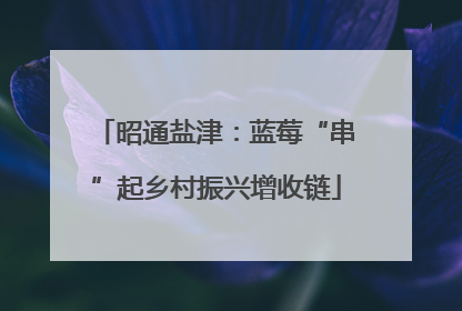 昭通盐津：蓝莓“串”起乡村振兴增收链