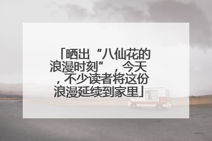 晒出“八仙花的浪漫时刻”，今天，不少读者将这份浪漫延续到家里