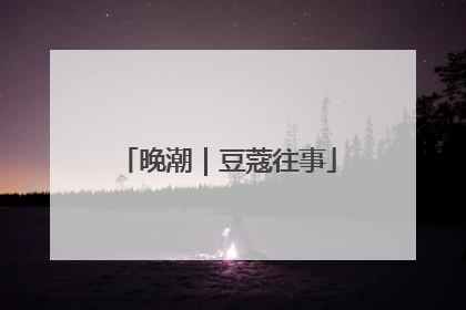 晚潮｜豆蔻往事