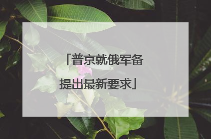 普京就俄军备提出最新要求