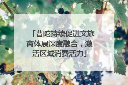 普陀持续促进文旅商体展深度融合，激活区域消费活力