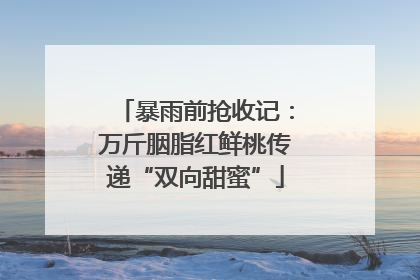 暴雨前抢收记：万斤胭脂红鲜桃传递“双向甜蜜”