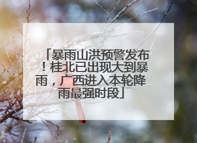 暴雨山洪预警发布！桂北已出现大到暴雨，广西进入本轮降雨最强时段
